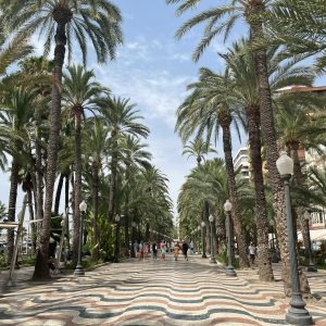 Charming promenade with palm trees and people, perfect for a summer stroll in Alicante, Spain.