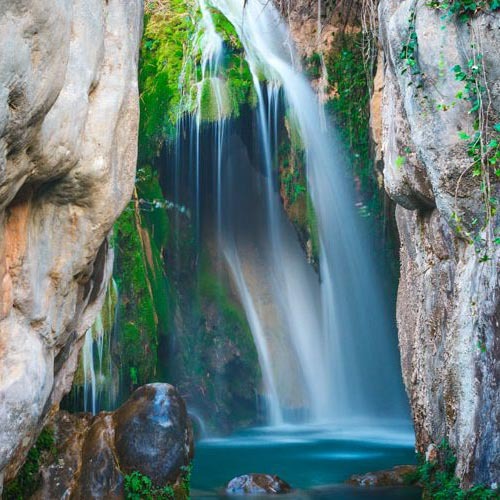 fonts dels algars